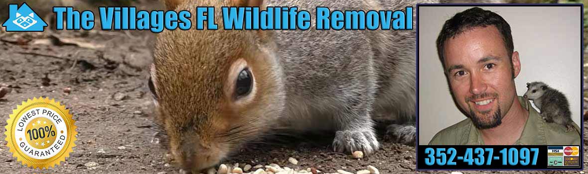 Leesburg Pest Animal